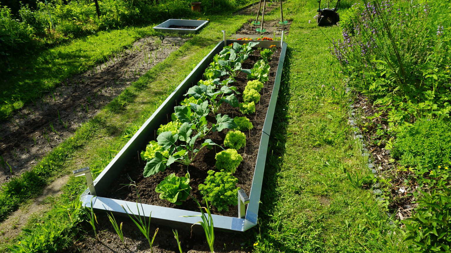 KUKUPOW Fil De Cuivre Contre Les Escargots, Les Escargots