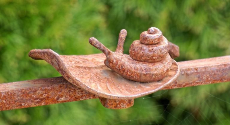 cuivre contre les limaces et les escargots
